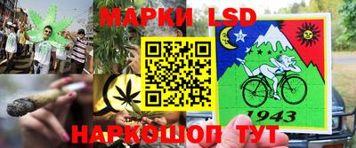 стаф Рыбинск